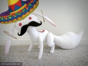 waynekaa