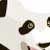 agiganticpanda